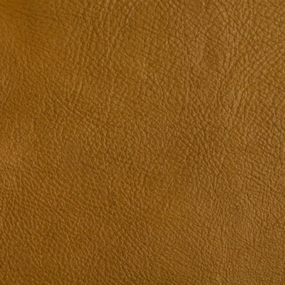 GTR Leather Mars Tan swatch