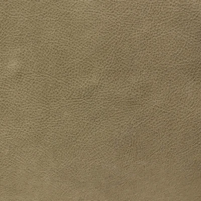 GTR Leather Napa Dove swatch
