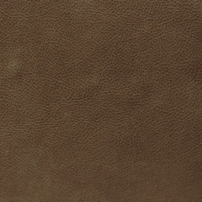 GTR Leather Napa Ranch swatch