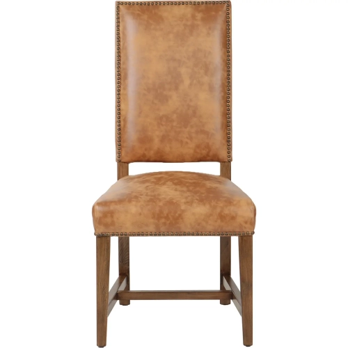 Dani Dining Chair in Tan Brown Top Grain Leather & Wood (Set of 2)