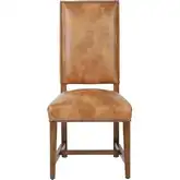 Dani Dining Chair in Tan Brown Top Grain Leather & Wood (Set of 2)