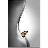 Butterfly Wall Art in Black, White & Orange