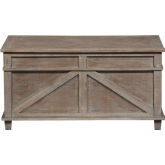 Parkland Falls Storage Trunk in Weathered Taupe