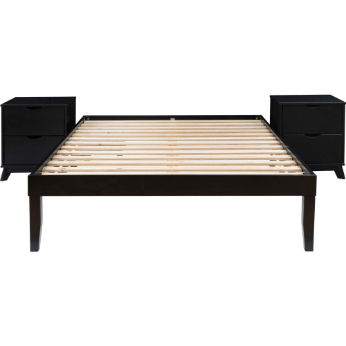 Polly 3 Piece Full Bed & 2 Drawer Nightstands Set in Black