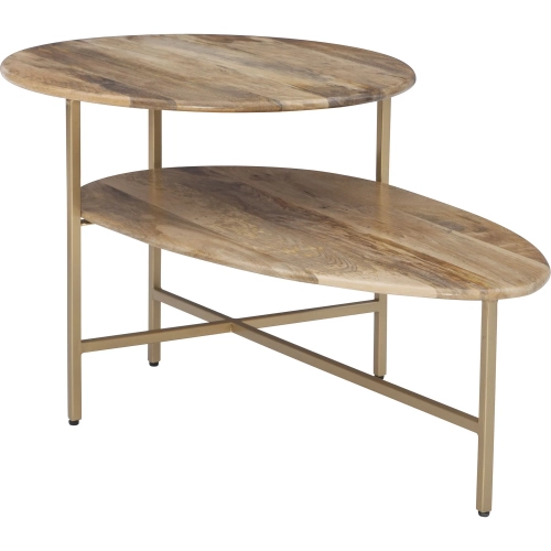 Tavin 2 Tier Coffee Table in Natural Wood & Gold