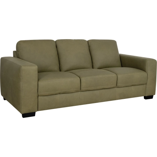 Jett Sofa (Shown in Olive Green Top Grain Leather)