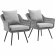 Endeavor Outdoor Poly Wicker Arm Chair in Gray (Set of 2)