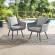 Endeavor Outdoor Poly Wicker Arm Chair in Gray (Set of 2)