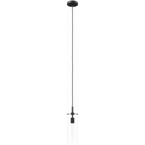 Skylark Pendant Light in Black Iron & Clear Glass