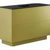 Quantum 48" Single Sink Bathroom Vanity in Gold Finish & Black Ceramic