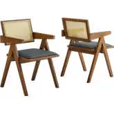 Thera Dining Arm Chair in Black Vegan Leather, Walnut Finish & Cane (Set of 2)