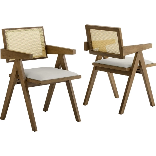 Thera Dining Arm Chair in Stone Vegan Leather, Weathered Wood & Cane (Set of 2)