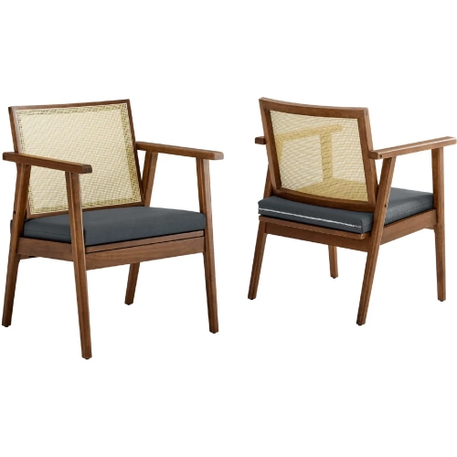 Thera Accent Arm Chair in Black Vegan Leather, Walnut Finish & Cane (Set of 2)