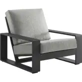 Lirienne Outdoor Accent Chair in Gray Aluminum & Light Gray Fabric