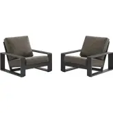 Lirienne Outdoor Accent Chair in Gray Aluminum & Smoke Gray Fabric (Set of 2)