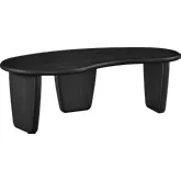 Vetra Kidney Shaped Coffee Table in Black Finish