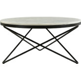 Haley Coffee Table in Marble & Black Iron