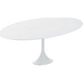 Echo Oval 77" Dining Table in White Painted Matte Finish
