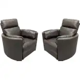Radius Manual Swivel Glider Recliner in Hickory Brown Top Grain Leather (Set of 2)