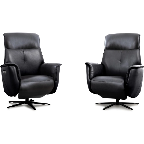 Tripp Power Swivel Recliner in Cortana Blackberry Top Grain Leather (Set of 2)