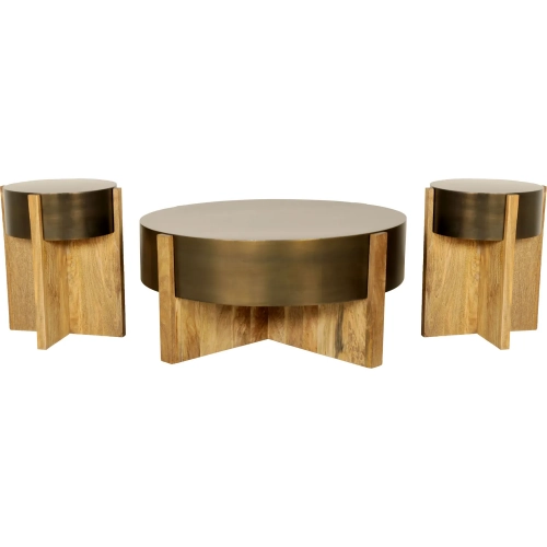 Aspen 3 Piece Coffee Table & 2 End Table Set in Mango Wood & Bronze