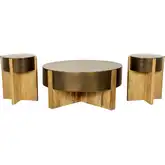Aspen 3 Piece Coffee Table & 2 End Table Set in Mango Wood & Bronze