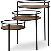 Collis 3 Tiered Plant Stand in Wood & Black Metal
