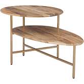 Tavin 2 Tier Coffee Table in Natural Wood & Gold