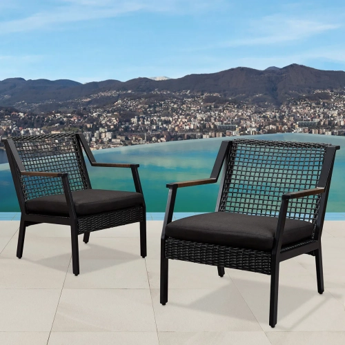 Calvin Outdoor Arm Chair in Black Resin Wicker & Fabric (Set of 2)