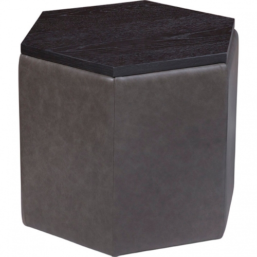 Fresno Storage Ottoman in Parrott Gray Leather & Black Wood