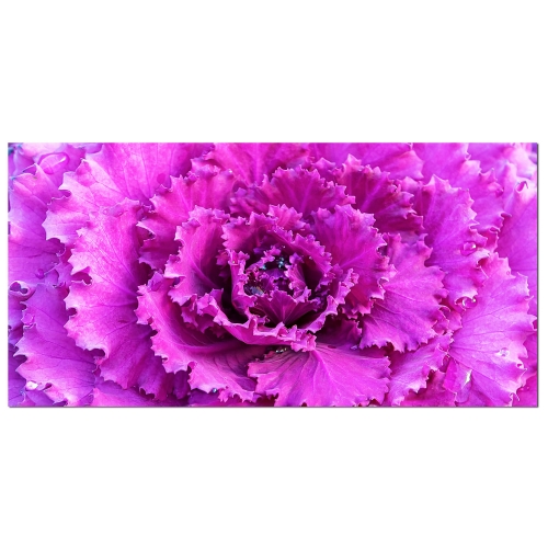 Mezzo Floral Acrylic Painting