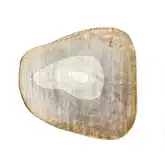 Natalia Abstract Shape Area Rug in Multicolor