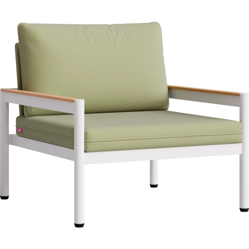 Lychee Outdoor Accent Arm Chair in Green Outdoor Fabric & White Aluminum